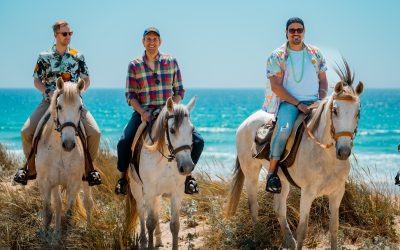 Check-Up Equitação