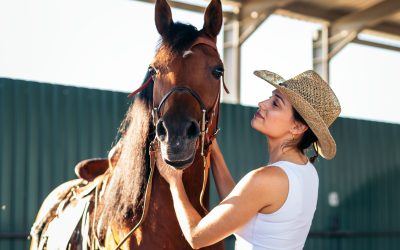 Imersão Equestre em Lisboa: Uma Experiência de Luxo para Todos os Sentidos